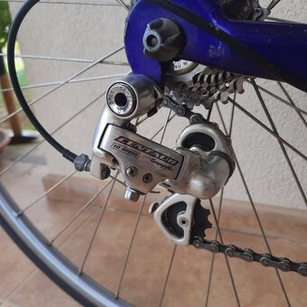 Omelka road | Campagnolo Veloce | 56 - 5