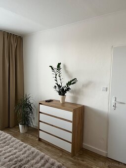 Prenájom 1 izbový byt s balkónom,Okružná,Levice - 5