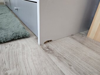Rastuca postielka - 5