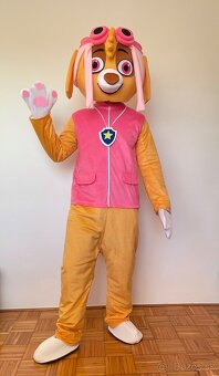 Paw Patrol Skye maskot/kostym - 5