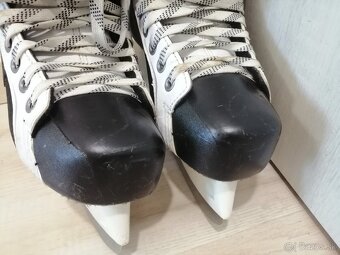 BAUER - 5
