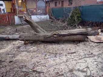 Predám orechové drevo - 5