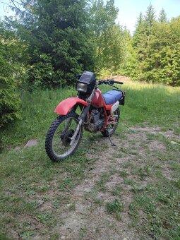 Honda xr350r - 5