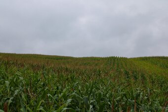 Objektív Revuenon MC 1:4.5/240 mm - 5