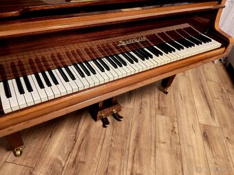 Nepremeškajte Najmenšie klavírne krídlo - 5