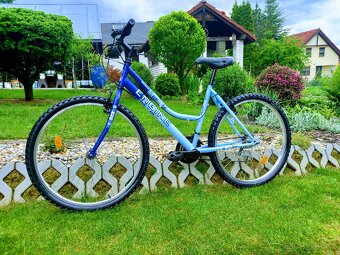 Bicykel Engine - 5