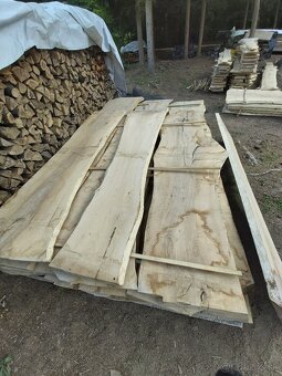 Jasenové rezivo - 5