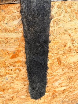 Westernový podbrusnik - 5