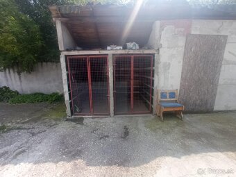 2.5 izbový dom s veľkým pozemkom a kuchyňou - 5