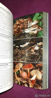 1000 slovenských a českých húb - 5