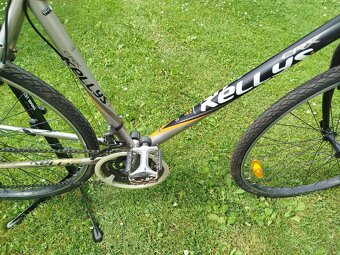 Kellys - 5