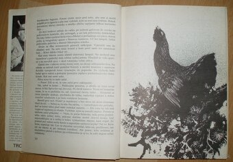 Trofej neznámeho strelca - 5