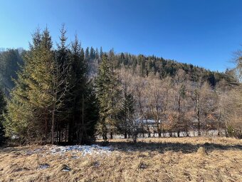 TRIOREALITY - Rekreačné pozemky na predaj - 13.038 m2 - 5