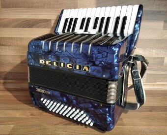 Akordeon, harmonika, heligonka - 5