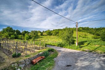 TOREA -  POZEMOK NA PREDAJ - 2905 m2 - SVÄTÝ JUR, OKRES PEZI - 5