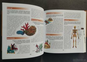 🌟📚 Náučné knihy pre deti 📖✨ - 5