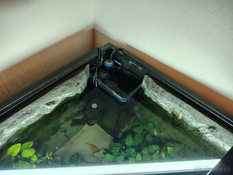 Akvarium - 5