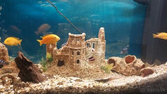 Komplet akvarium - 5