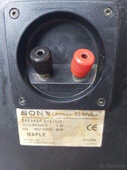 RX-V630RDS - 5