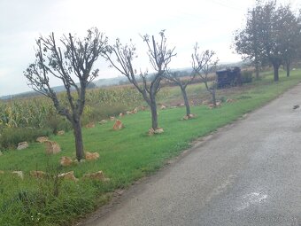 okrasné, dekoračné, prírodné kamene - 5