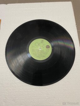 Platne - 5
