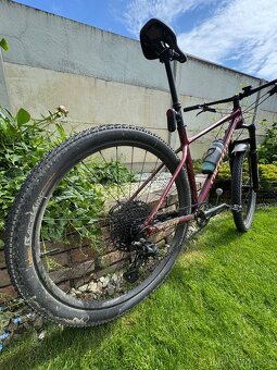 Specialized Chisel 2024 veľ. L - 5