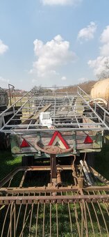 Ťažná kobyla a ovce romanovské - 5