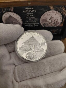 Strieborne mince limit 200ks - 5