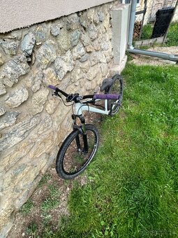 Ctm dirtking 2024 - 5