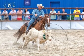 Na predaj – QH spoľahlivý valach - 5