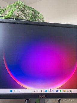 DELL MONITOR - 5