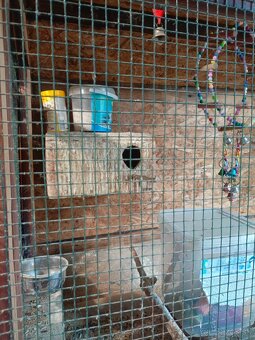 Klietka pre vtáctvo - 5