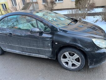 Peugeot 307 cc cabrio - 5