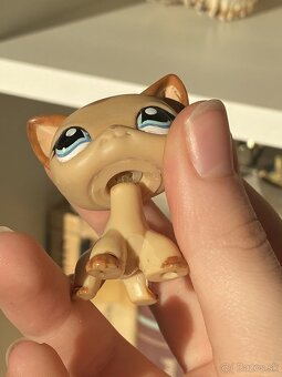 Littlest Pet Shop SHC mačka - 5