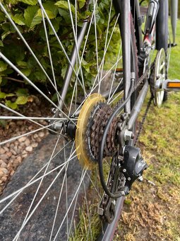BIKE CTM - 5