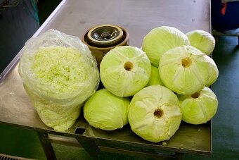 Predám rezanú / strúhanú kapustu / hlávkovú kapustu - 5