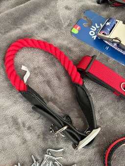 Nove Obojky pre psov - 5