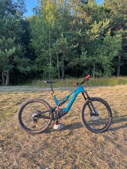 Kellys Theos F60 L - 5