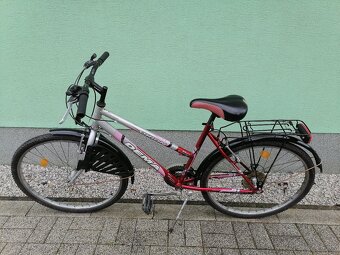 Bicykel Dema - 5