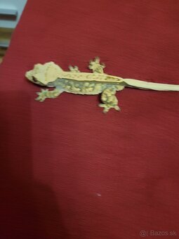 Pagekon riasnaty - 5