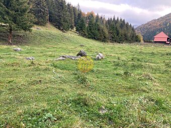 Krásny, slnečný pozemok - Mlynky 921 m2 - 5