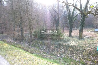 HALO reality - Predaj, pozemok pre rodinný dom 468 m2 Jalš - 5