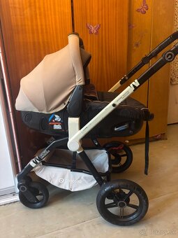 Kocik Concord Wanderer - 5