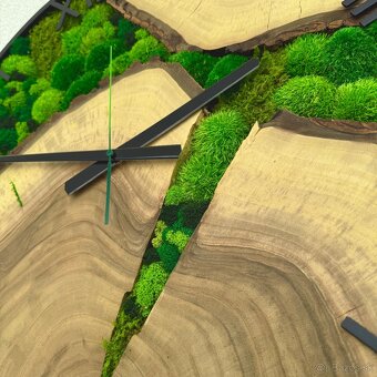 Machové hodiny 60cm orech , drevene hodiny s machom - 5