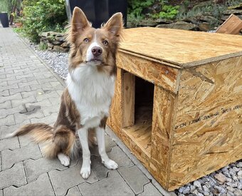 Zateplená búda pre psa – nová, kvalitná a pohodlná - 5