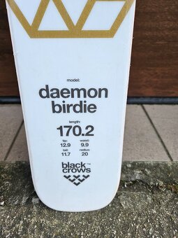 BLACK CROWS daemon birdie 170 - 5