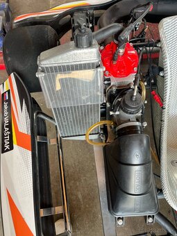 MOTOKARA - CROC PROMOTION + 125 Rotax junior max evo - 5
