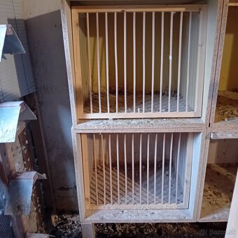 Rozpredam holubnik plus hodiny benzing - 5