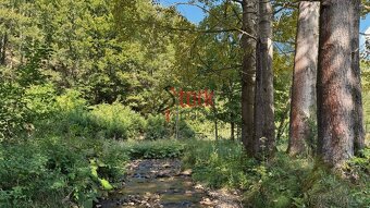 Na predaj - trvalý trávny porast - Rajecká Lesná - 5