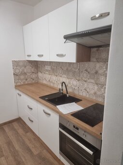 Prenájom 1 izbový byt - 5